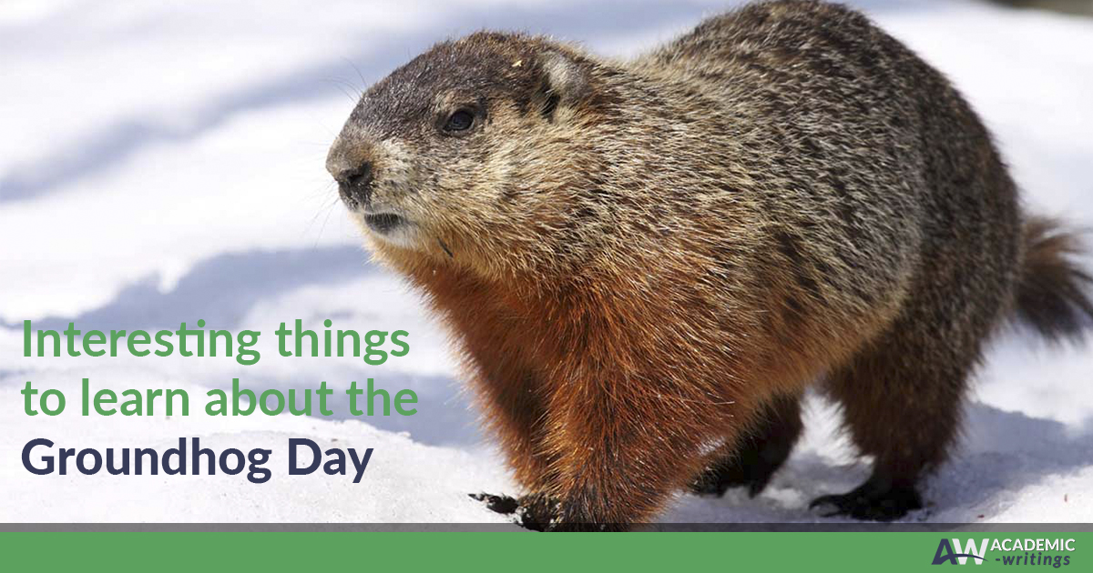 Interesting Things to Learn about the Groundhog Day